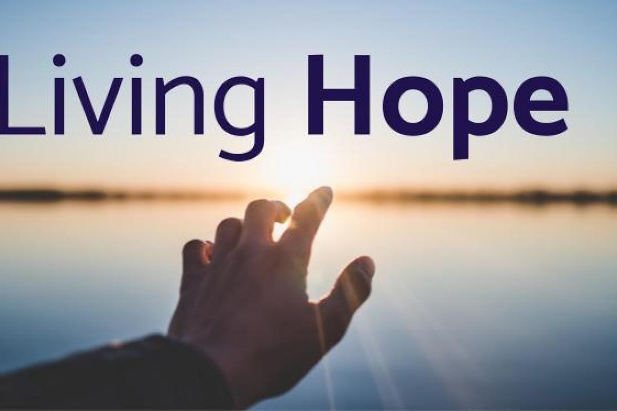 Living Hope: Standing Firm In The Faith